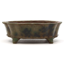 Bonsai pot TOSU345 TOSUI SHIKAO View 2