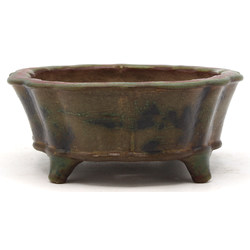 Bonsai pot TOSU345 TOSUI SHIKAO View 5