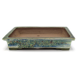 Bonsai pot TOSU355 TOSUI SHIKAO View 7