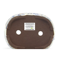 Maceta bonsái TOSU229 TOSUI SHIKAO Vista 6