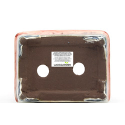 Maceta bonsái TOSU122 TOSUI SHIKAO Vista 7