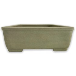 Bonsai pot JTA7873 KAKUZAN KAKUYUKI