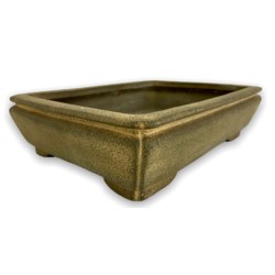 Bonsai pot JTA7870 YOSHIMURA SHUUHOU