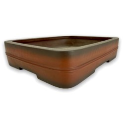 Bonsai pot JTA7872 TAZAN View 2