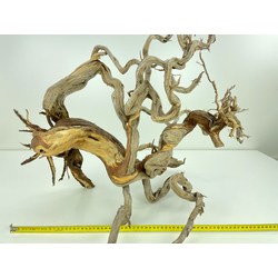 Wood for tanuki bonsai 45 View 2