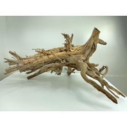 Wood for tanuki bonsai 46