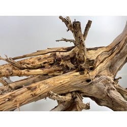 Wood for tanuki bonsai 46 View 3