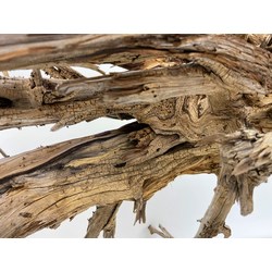 Wood for tanuki bonsai 46 View 4