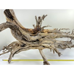 Wood for tanuki bonsai 46 View 5