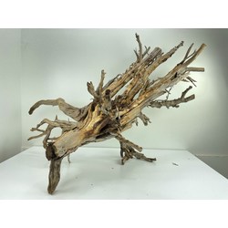 Wood for tanuki bonsai 46 View 6