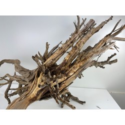 Wood for tanuki bonsai 46 View 8