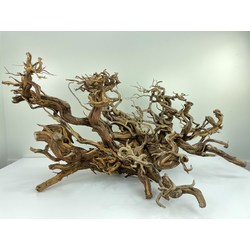 Madera para tanuki bonsái 48