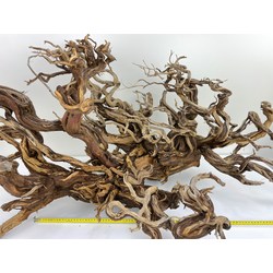 Wood for tanuki bonsai 48 View 2