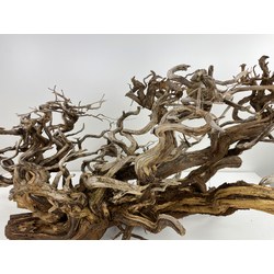 Wood for tanuki bonsai 48 View 4