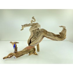 Madera para tanuki bonsái 51