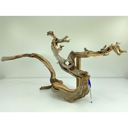 Wood for tanuki bonsai 52