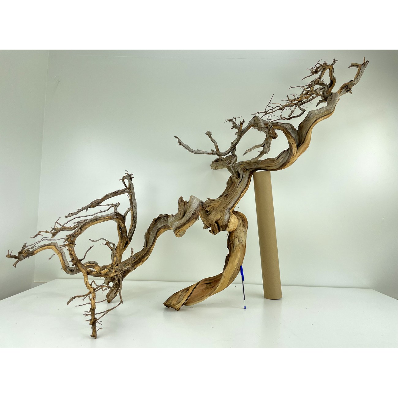 Madera para tanuki bonsái 53