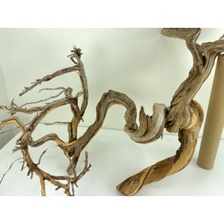Wood for tanuki bonsai 53 View 2