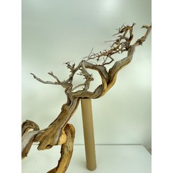 Wood for tanuki bonsai 53 View 3