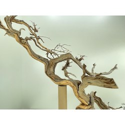 Madera para tanuki bonsái 53 Vista 5
