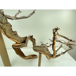 Wood for tanuki bonsai 53 View 6