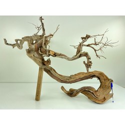 Madera para tanuki bonsái 55