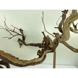 Wood for tanuki bonsai 55 View 4