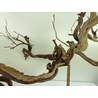 Wood for tanuki bonsai 55 View 4
