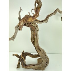 Wood for tanuki bonsai 58 View 2
