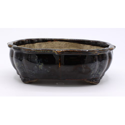 Bonsai pot TER465 TERAHATA SATOMI