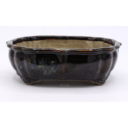 Bonsai pot TER465 TERAHATA SATOMI View 2