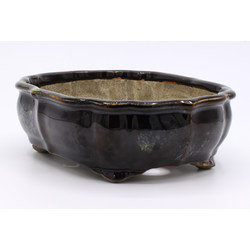 Bonsai pot TER465 TERAHATA SATOMI View 4