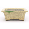 Bonsai pot TER470 TERAHATA SATOMI