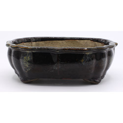 Bonsai pot TER478 TERAHATA SATOMI