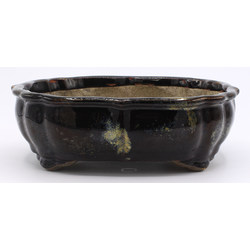 Bonsai pot TER478 TERAHATA SATOMI View 2