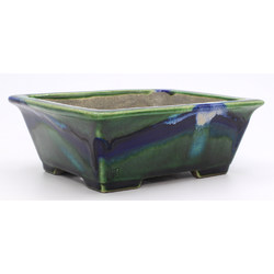 Bonsai pot TER482 TERAHATA SATOMI View 4