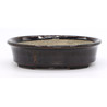 Bonsai pot TER479 TERAHATA SATOMI View 2