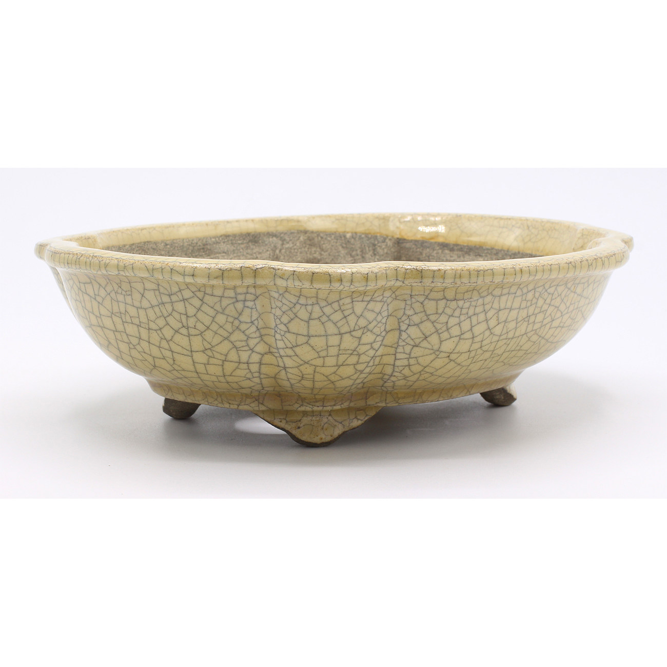 Bonsai pot, Bonsai, Terahata, Satomi, kato, Seto, Japan