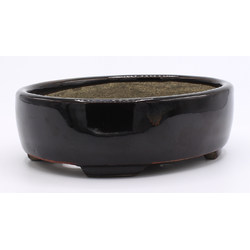 Bonsai pot TER490 TERAHATA SATOMI View 3