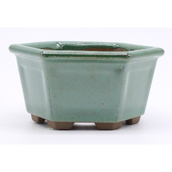 Bonsai pot YOKN036V View 2