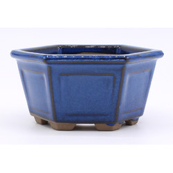 Bonsai pot copy of YOKN036A