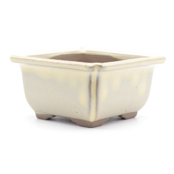 yokn038b square pot