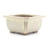 yokn038b maceta bonsai cuadrada