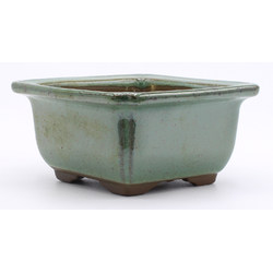 green square pot side view