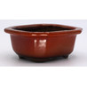 Maceta bonsái YOKN039R Vista 2