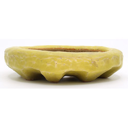 Bonsai pot JTAP1572 AKEBONO