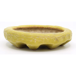 Akebono pot yellow front view