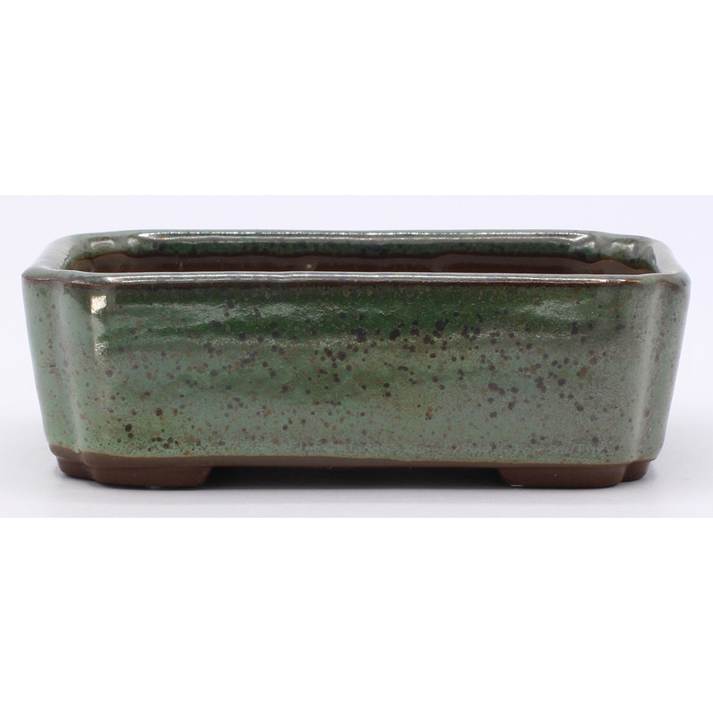 bonsai pot YOKN046V2 frontal view