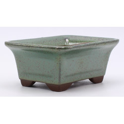 bonsai pot green rectangular lateral view