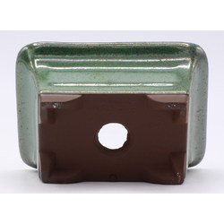 bonsai pot green rectangular back view